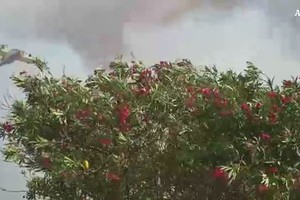 Sardegna, paura tra i bagnanti per incendio al Lido di Orri' (ANSA)