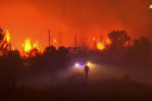 Incendio in Portogallo, 1.800 vigili del fuoco al lavoro (ANSA)