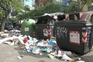 Rifiuti a Roma, cittadini esasperati (ANSA)